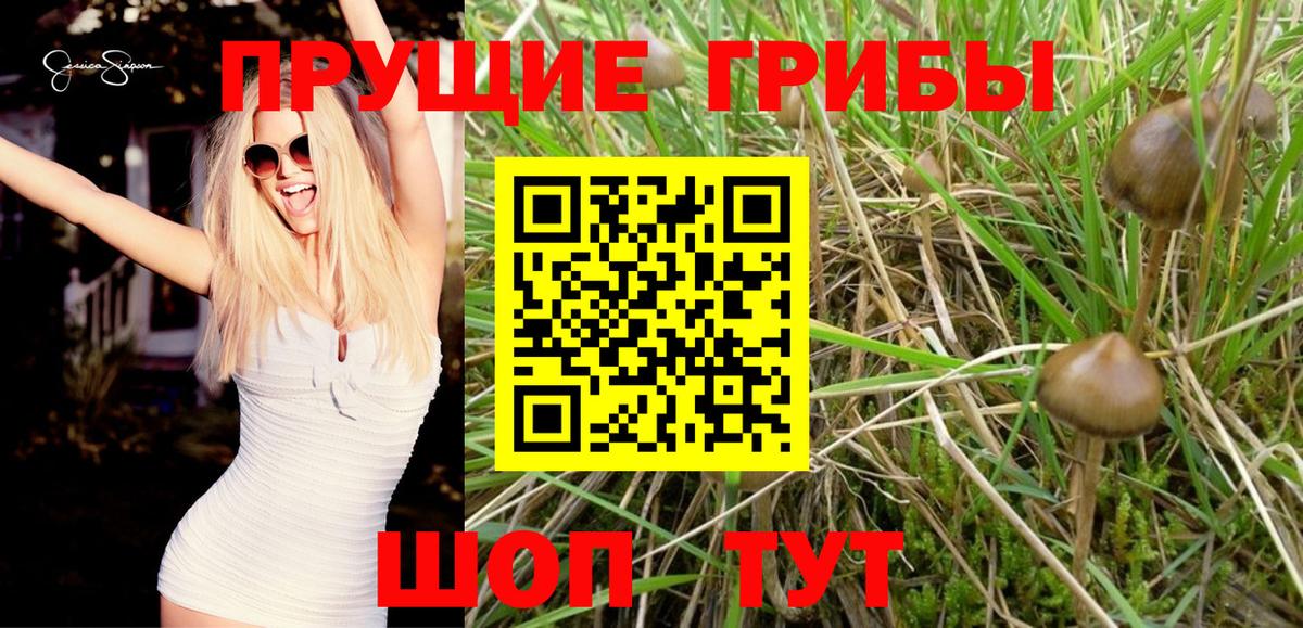 Псилоцибиновые грибы Cubensis  магазин продажи   Рузаевка  Псилоцибиновые грибы мухоморы  Вход с VPN 